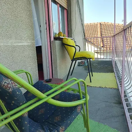 Prenociste Zora Daire